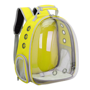 "The Tourist Cat" Transparent Cats Travel Backpacks