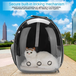 "The Voyager Cat" Beautiful Outdoor Backpack Capsule