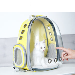 "The Tourist Cat" Transparent Cats Travel Backpacks